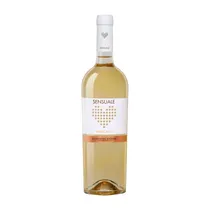  Vino Vignet...