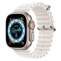  Apple Watch...
