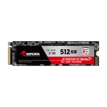  SSD Keepdat...