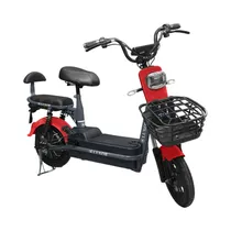  Moto Electr...