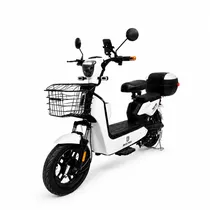 Moto Elétric...