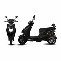 Moto Electri...