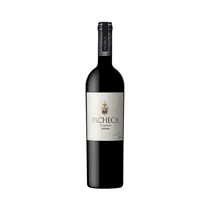 Vino Pacheca...