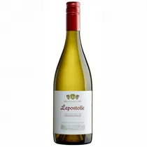  Vinho Lapos...