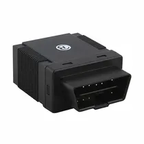  GPS 306 Ras...