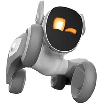 Robot Mascot...