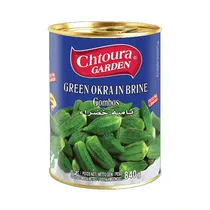  Chtoura Gar...