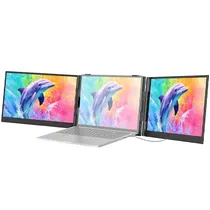  Monitor Por...