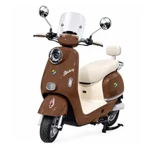  Moto Electr...