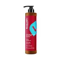  Shampoo (Ec...