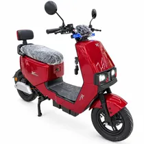 Moto Electri...
