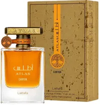  Perfume Lat...