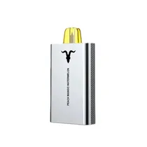 Ignite V400 Prata Ice Peach Mango Watermelo