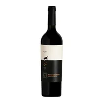 Vinho Argen...