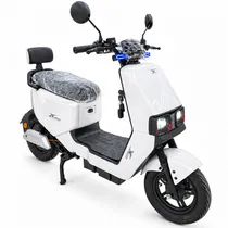 Moto Electri...