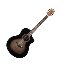  Washburn Vi...