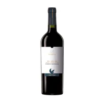 Vino Luccar...