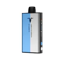 Ignite V400 Mix 40000 Puffs Blueberry Ice/Raspberry Blackberry
