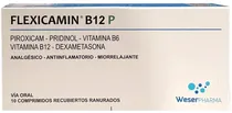 Flexicamin B...