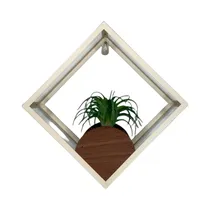  Planta Arti...