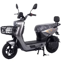 Moto Elétric...