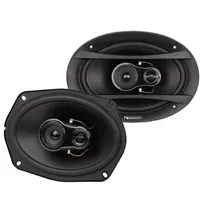 Nakamichi NSE-6918 6X9 Triaxial 260W (Par)