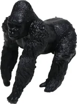  Toys Biolog...