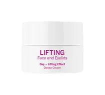  Lifting Fac...