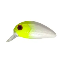  Señuelo Art...