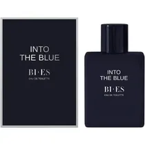 Bi-Es Into T...
