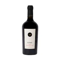  Vino Luccar...