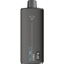Vaper Descartavel The Black Sheep Slim Menthol 10000PUFFS