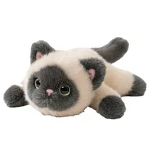  Gato de Pel...