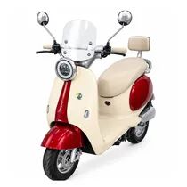 Moto Electri...
