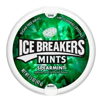Bala Ice Bre...