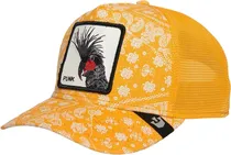  Boné Goorin...
