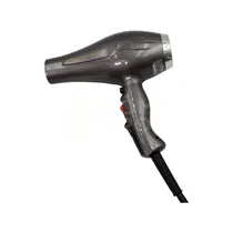 Secador Lizze Supreme 110V Prata