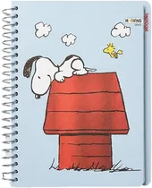  Caderno Moo...