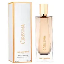  Tester Lapi...