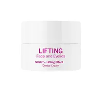  Lifting Fac...