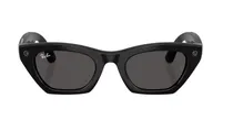 Gafas Ray-Ba...