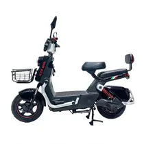 Moto Eletric...