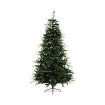  Árbol de Na...