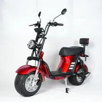 Moto Eletric...