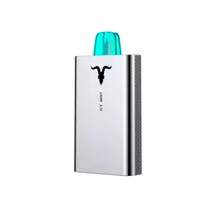Pod Ignite V55 BLK Icy Mint