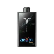 Ignite V300 ...