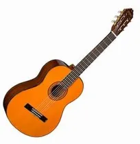  Washburn Vi...