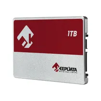 HD SSD 2.5" 1TB Keepdata KDS1T-L21 600614