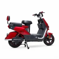 Moto Eletric...