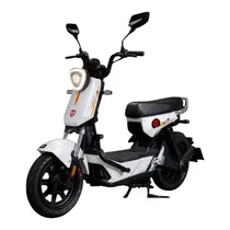Moto Eletri...